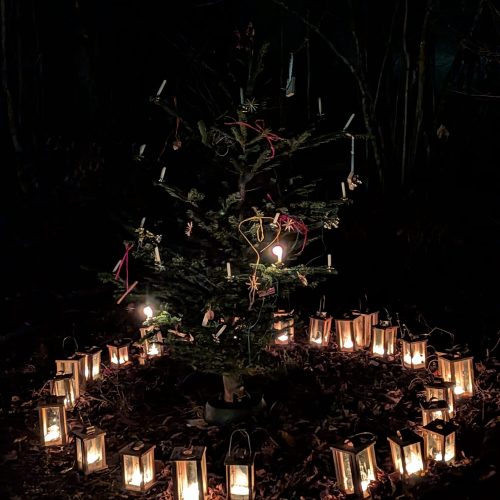 2025_Waldweihnacht_1